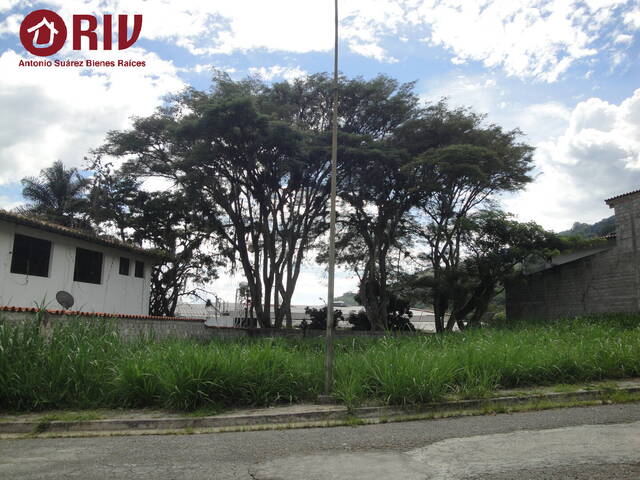 #36 - Área para Venta en Mérida - L - 1