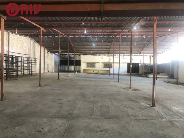 #44 - Tienda  Almacén para Venta en Mérida - L - 1